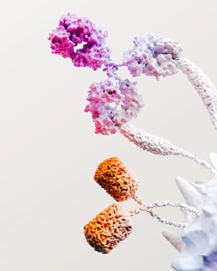 Immuno Oncology